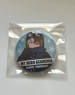 僕のヒーローアカデミア　轟焦凍
