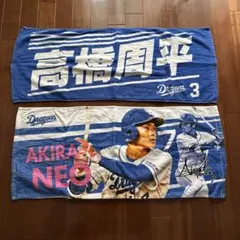 Item thumbnail for item 6b70c641-9453-4c9b-bafc-4d37f4a075ca