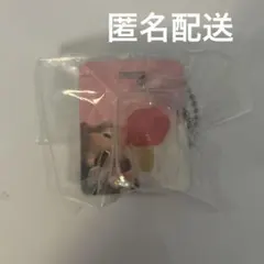 ズートピア ブリスターチャームコレクション ガチャ アイスキャンディ