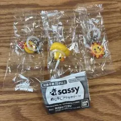sassyめじるしアクセサリー 3点セット