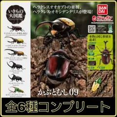 Item thumbnail for item 0be21327-babc-4cb6-97e1-9457ebbae64d