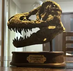 DINOWORLD】ティラノサウルス 頭骨 化石 ジュラシックパーク - メルカリ