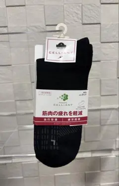 Item thumbnail for item 0f1eacba-df58-4324-926f-a34f058d7929