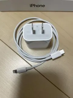 Apple純正の20W充電器とタイプC-ライトニングの1mケーブルのセット