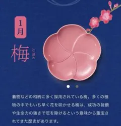 【新品未使用】 サントリー金麦 花やか皿 1月 梅5枚セット
