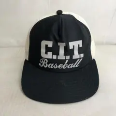 Item thumbnail for item 0b8a2fe2-c1a1-458b-aeaf-4a094e533745