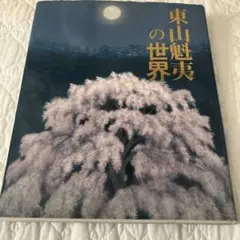 講談社　東山魁夷　全集 ワイド版 東山魁夷全集第 4巻 北欧の旅 講談社発行 - メルカリ