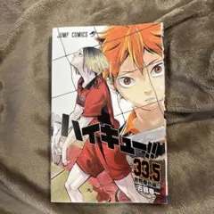 ハイキュー 33.5 音駒番外編