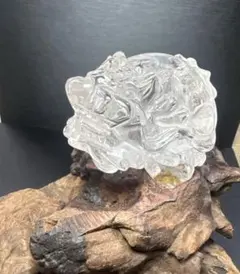 カエル ホルマリン漬け 液体標本 - メルカリ