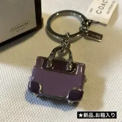 Item thumbnail for item 276c0f9f-f29d-4925-9e37-5e3de31c9606