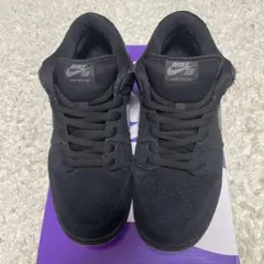 Nike SB Dunk Low Pro 