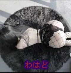 Item thumbnail for item 55d5b042-2ce8-4360-8751-fde5d7e73f60