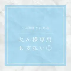 〜4/30 たん様専用
