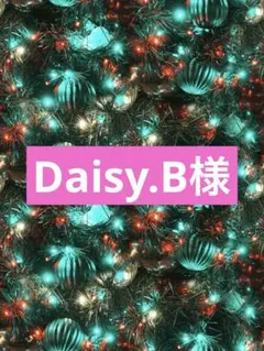 Daisy.B様専用