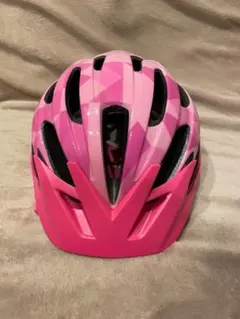 Item thumbnail for item 63d12c67-516f-4660-9923-e8633a948473