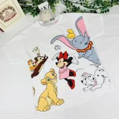 新品　116サイズ　ZARA　ザラ　ディズニーキャラクター　Tシャツ