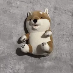 甘噛みハムハム　柴犬　コタロウ　シバイヌ