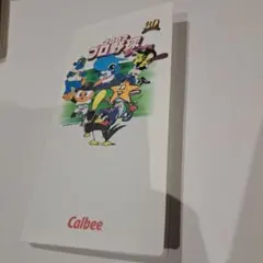 プロ野球チップスカード2002　セ・リーグ44枚セット+カードホルダー付き