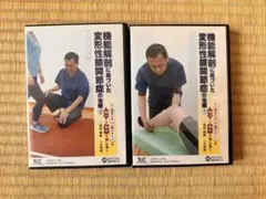 高等学校体育 DVD 2巻セット 創作ダンス 現代的なリズムのダンス