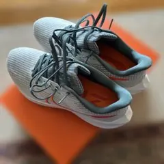 ナイキ　ペガサス39