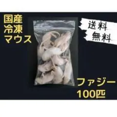 送料無料 冷凍マウスファジー100匹 - メルカリ