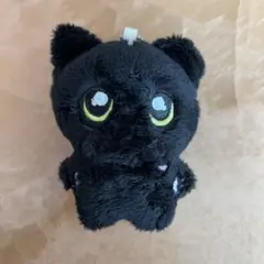 ENHYPEN JAY ジェイ ぬいぐるみ マスター