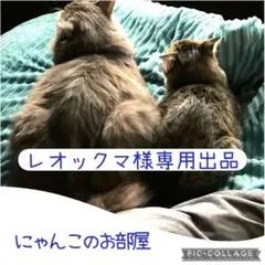 レオックマ様専用出品