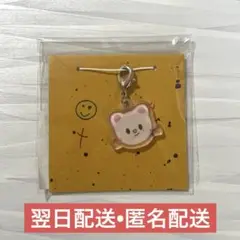 【メルカリ最安値】THE Victory SKZOO ジニレット ミニチャーム