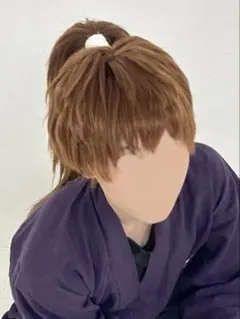 鉢屋三郎(不破雷蔵)　ウィッグ