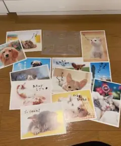 Item thumbnail for item 7273e57c-8785-42d0-aa50-ea3c272b6127