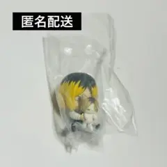 ハイキュー Hide&Seek かくれんぼ フィギュア 孤爪 研磨