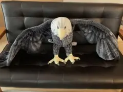 Item thumbnail for item c61fabd0-4a6e-47cc-8f66-3becbbaa78fe