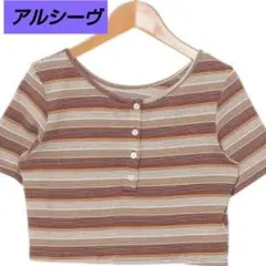 新品♦✨アルシーヴ✨♦マルチボーダー　コンパクトＴee♦色ブラウン❄クロップド丈