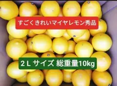 マイヤーレモン 秀品、 2Lサイズ総重量 10kg