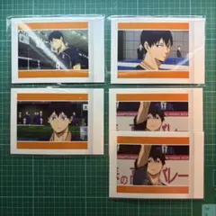 影山飛雄 パシャこれ 67枚 影山飛雄B】 ハイキュー!! ぱしゃこれ PREMIUM - トレカ&ホビー