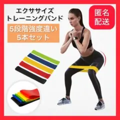 トレーニングバンド エクササイズバンド 5本セット 強度別 筋トレ ストレッチ