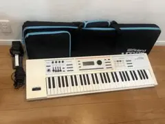 2026年最新】Roland JUNO-DS61の人気アイテム - メルカリ