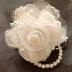 Item thumbnail for item e113c78e-4e6f-4355-9137-ad757cbb3702