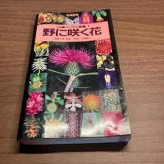 写真検索　山渓ハンディ図鑑　野に咲く花