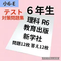 2026年最新】カラーテスト 6年の人気アイテム - メルカリ