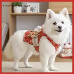 犬服 M 首囲29 胸囲40 着丈26ふかふか 和柄小型犬 犬用品 ペット服のサムネイル