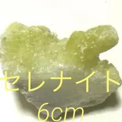 NY様 リクエスト 2点 まとめ商品