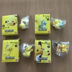ポケモンキッズ　ピカピカピカチュウ大集合