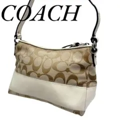 COACH アクセサリーポーチ ワンショルダー archive y2k