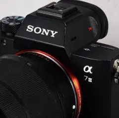 2026年最新】sony α7ii レンズキットの人気アイテム - メルカリ