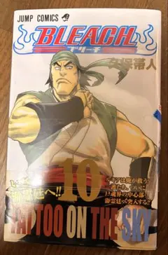 Bleach 10 初版 帯付き - メルカリ