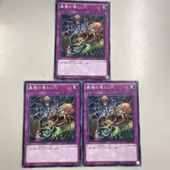 【蟲惑の落とし穴】ノーマル3枚❗️ 遊戯王