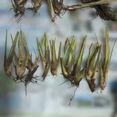 コンコン様 リクエスト 2点 まとめ商品