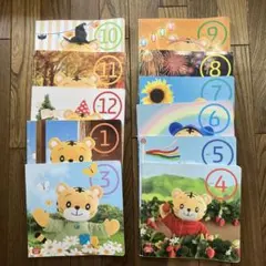 2015年度版　チャレンジぷち　絵本11冊セット