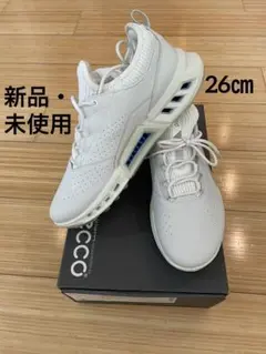 2026年最新】ECCOゴルフシューズ biom c4の人気アイテム - メルカリ